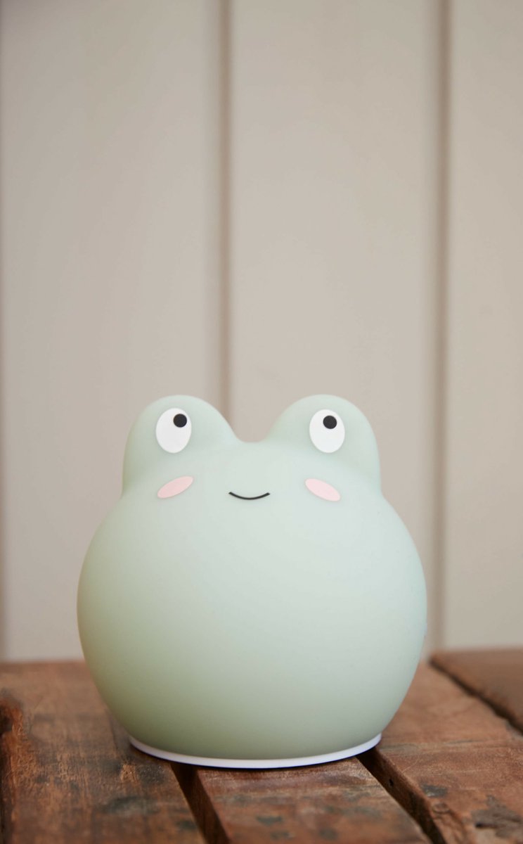 Led Lampje 'Frey the Frog'
