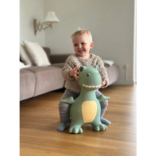 Find That Hippo | Springdier - Dino Dexter