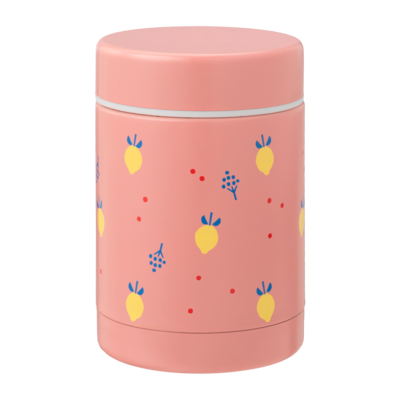 Fresk Food Jar 300ml | Summer Fruit
