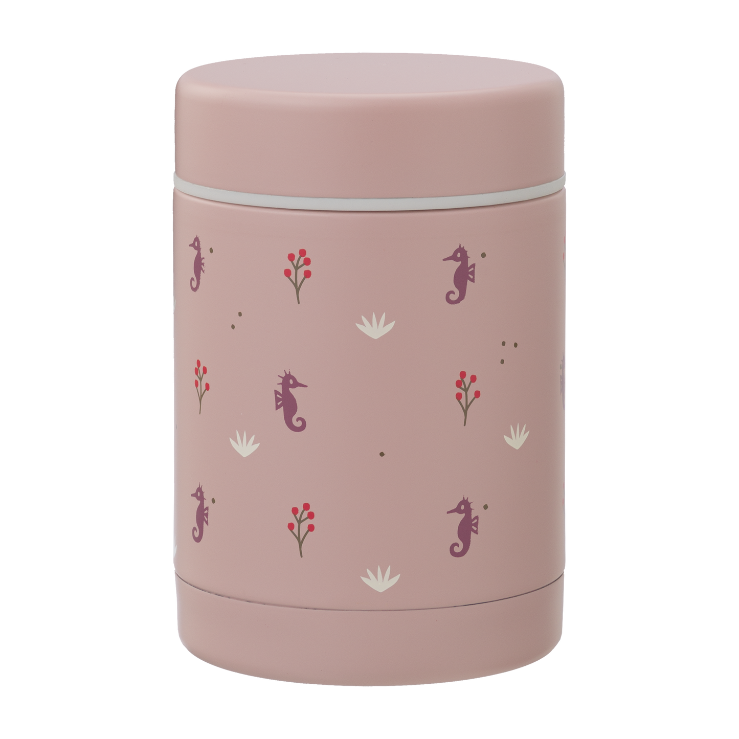 Fresk Food Jar 300ml | Seahorse