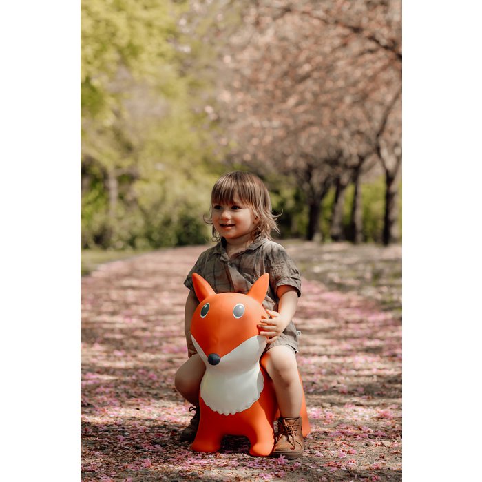 Find That Hippo | Springdier - Vos Lela