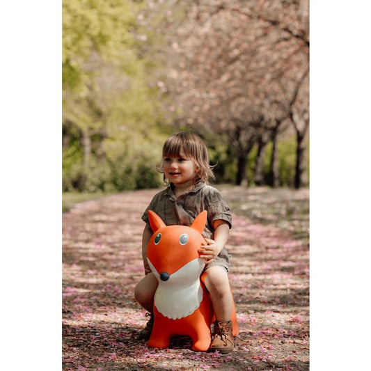 Find That Hippo | Springdier - Vos Lela