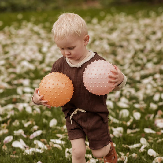 Find That Hippo | Set  Sensory Ballen - Poederroze en Oranje
